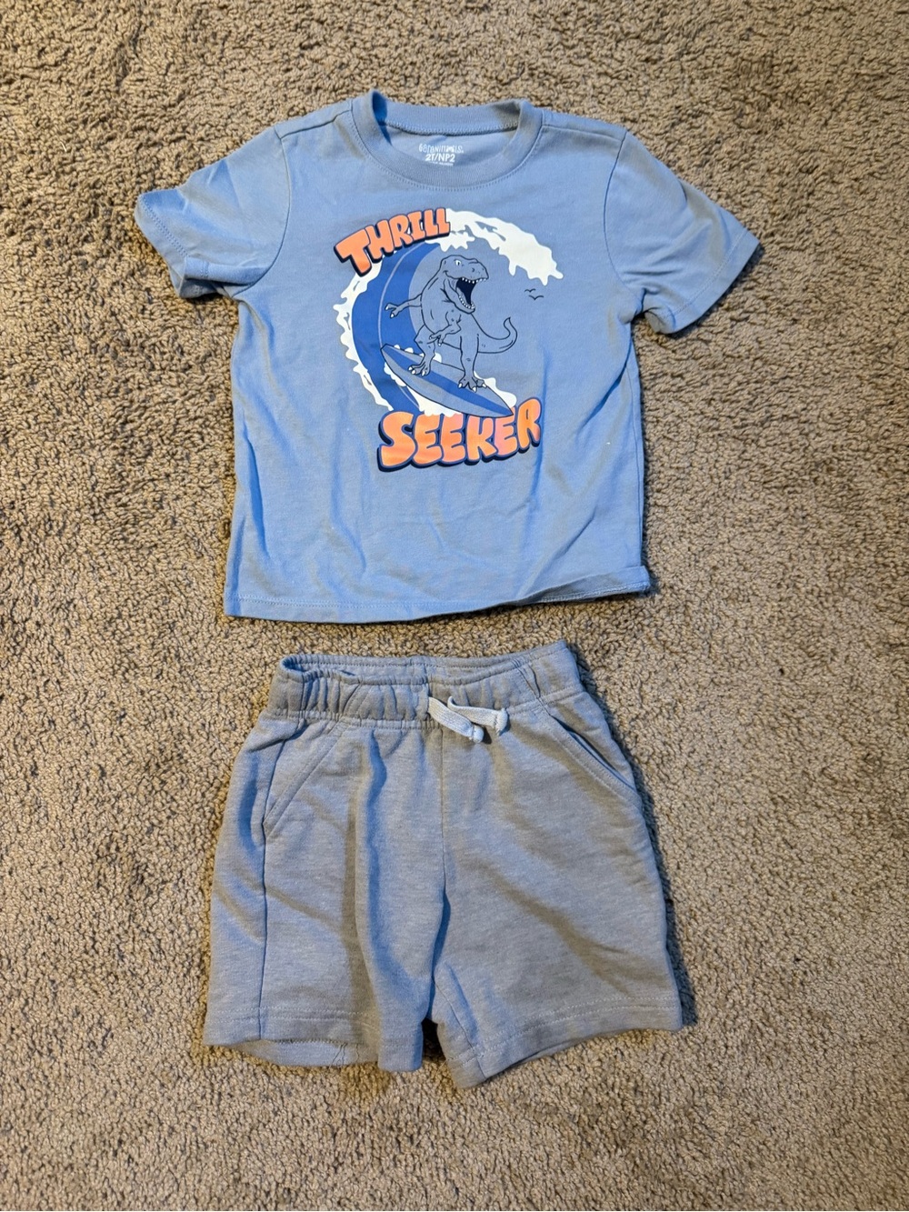 2T Blue Dino Tee & Shorts Set
